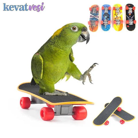 Mini Skateboard Bird Toy