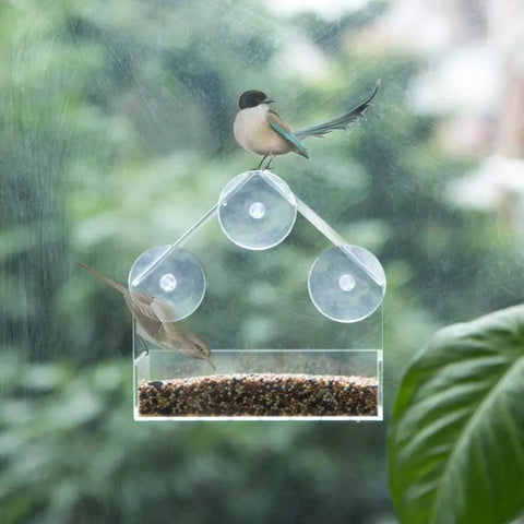 Acrylic Transparent Bird Feeder with Suction Cup