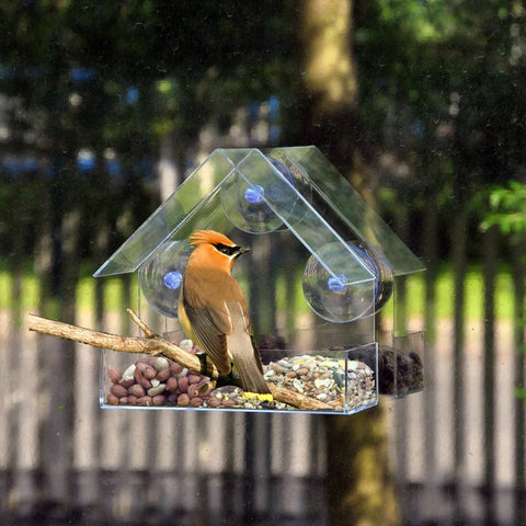 Clear Glass Window Bird Feeder