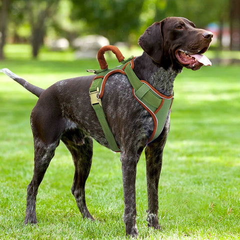 Large Dog Soft Adjustable Harness