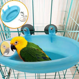 Parrot Bathtub With Mirror