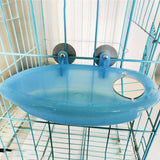 Parrot Bathtub With Mirror