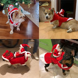 Christmas Pet Costume