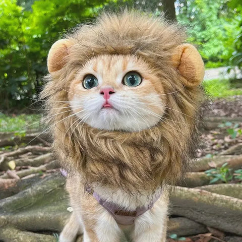 Cute Lion Mane Cat Costume