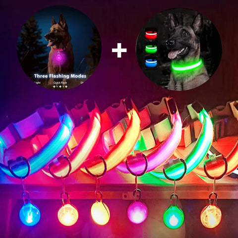 USB Charging Glowing Collar With Pendant